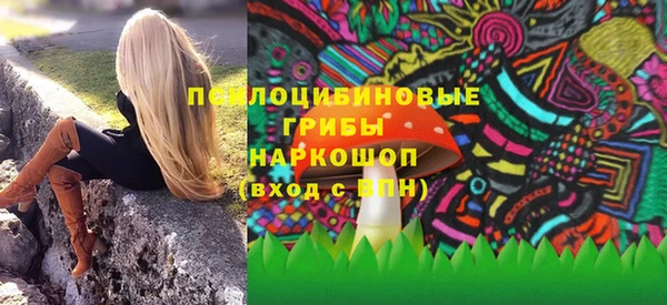 дживик Абаза