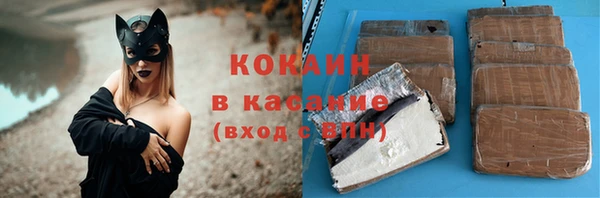 дживик Абаза